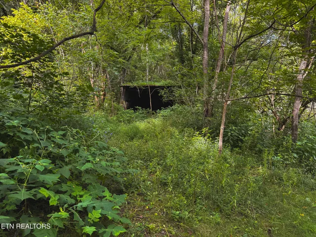 $99,900 | 0 Gravely Valley Road, Eidson, TN 37731