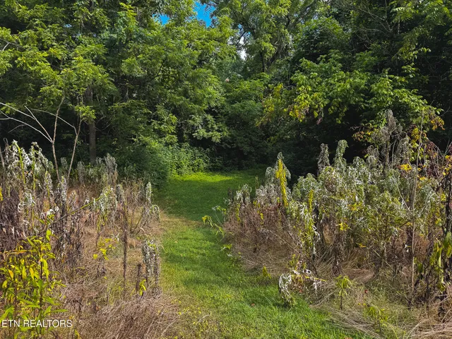 $99,900 | 0 Gravely Valley Road, Eidson, TN 37731