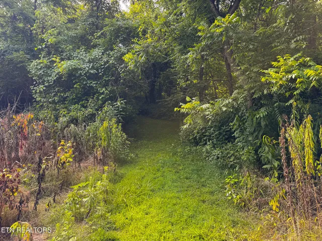 $99,900 | 0 Gravely Valley Road, Eidson, TN 37731