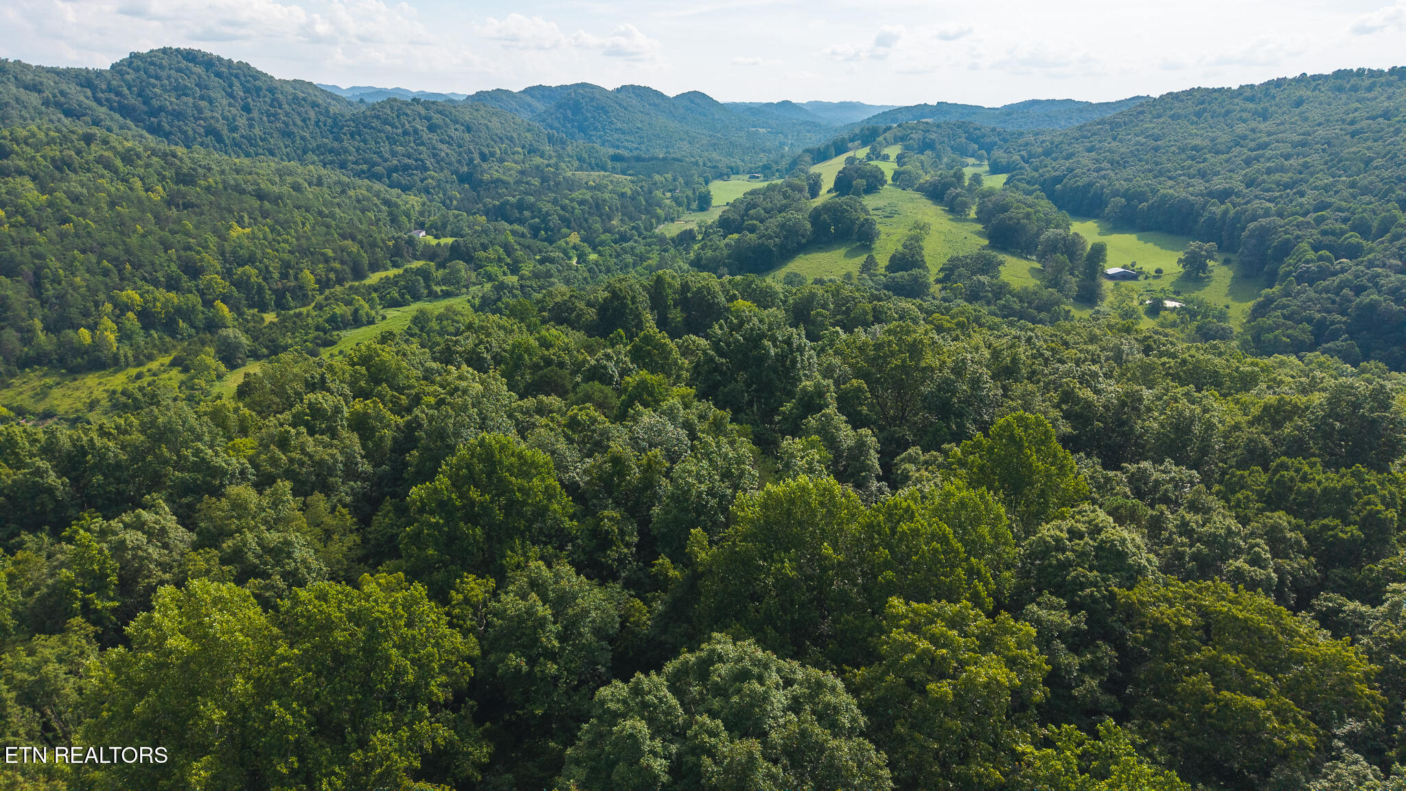 0 Gravely Valley Road Eidson, TN 37731 - Photo 3 of 36 DJI_20250716171114_0752_D