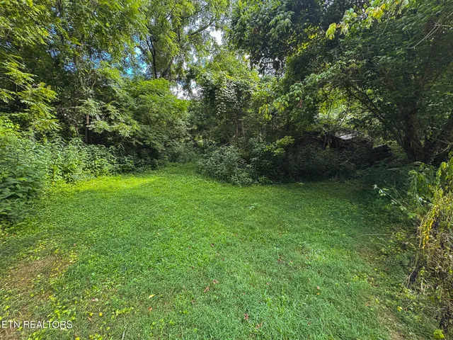 $99,900 | 0 Gravely Valley Road, Eidson, TN 37731