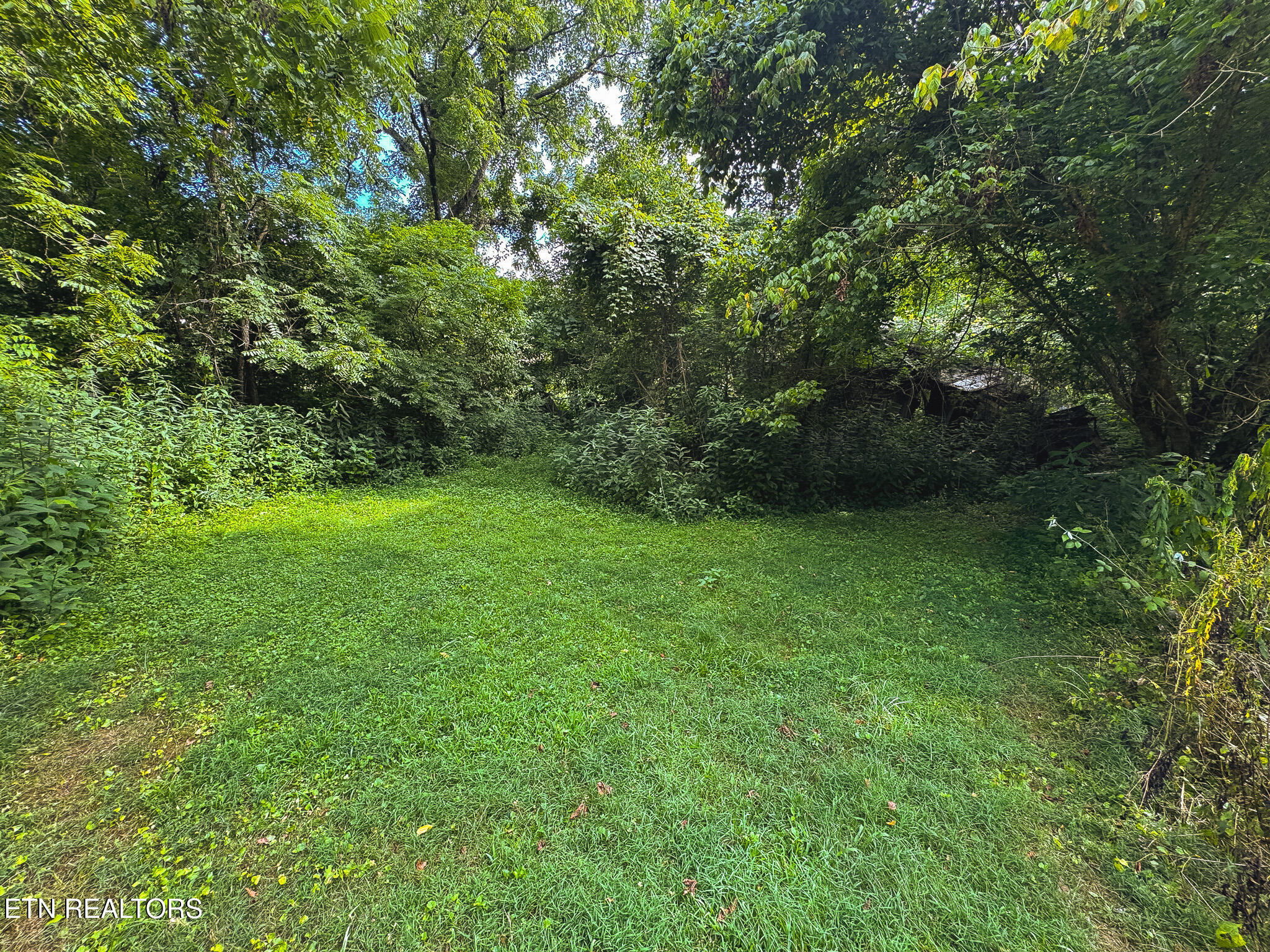 0 Gravely Valley Road Eidson, TN 37731 - Photo 31 of 36 IMG_9746