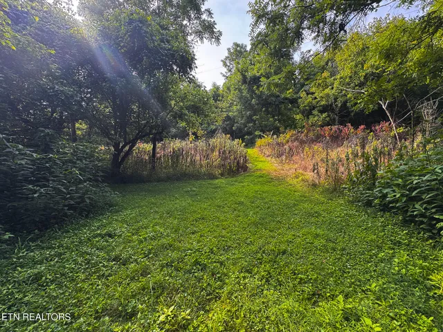 $99,900 | 0 Gravely Valley Road, Eidson, TN 37731