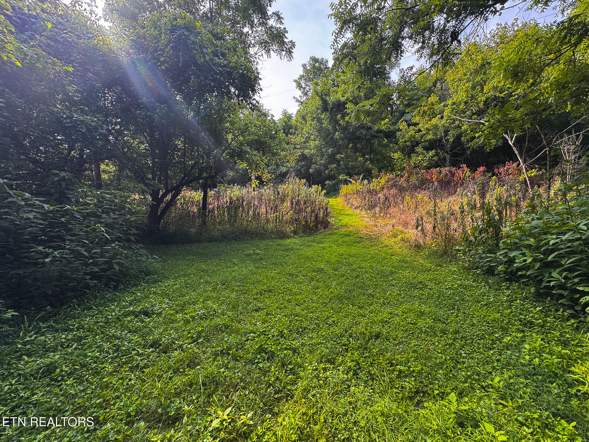 0 Gravely Valley Road Eidson, TN 37731 - Photo 32 of 36 IMG_9747