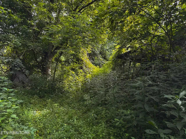 $99,900 | 0 Gravely Valley Road, Eidson, TN 37731