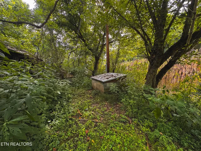 $99,900 | 0 Gravely Valley Road, Eidson, TN 37731