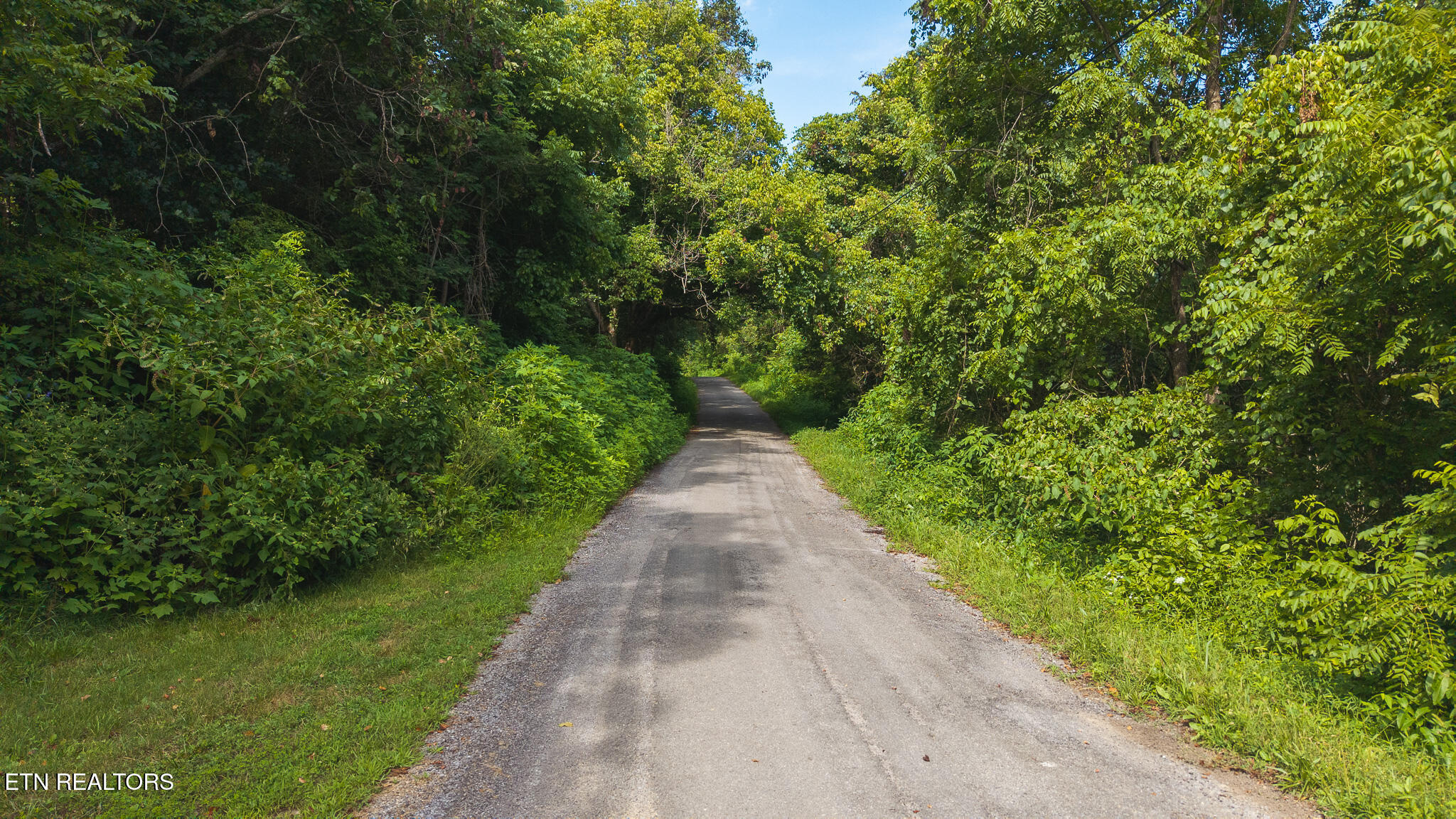 0 Gravely Valley Road Eidson, TN 37731 - Photo 35 of 36 DJI_20250716170517_0738_D