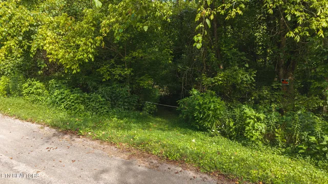 $99,900 | 0 Gravely Valley Road, Eidson, TN 37731