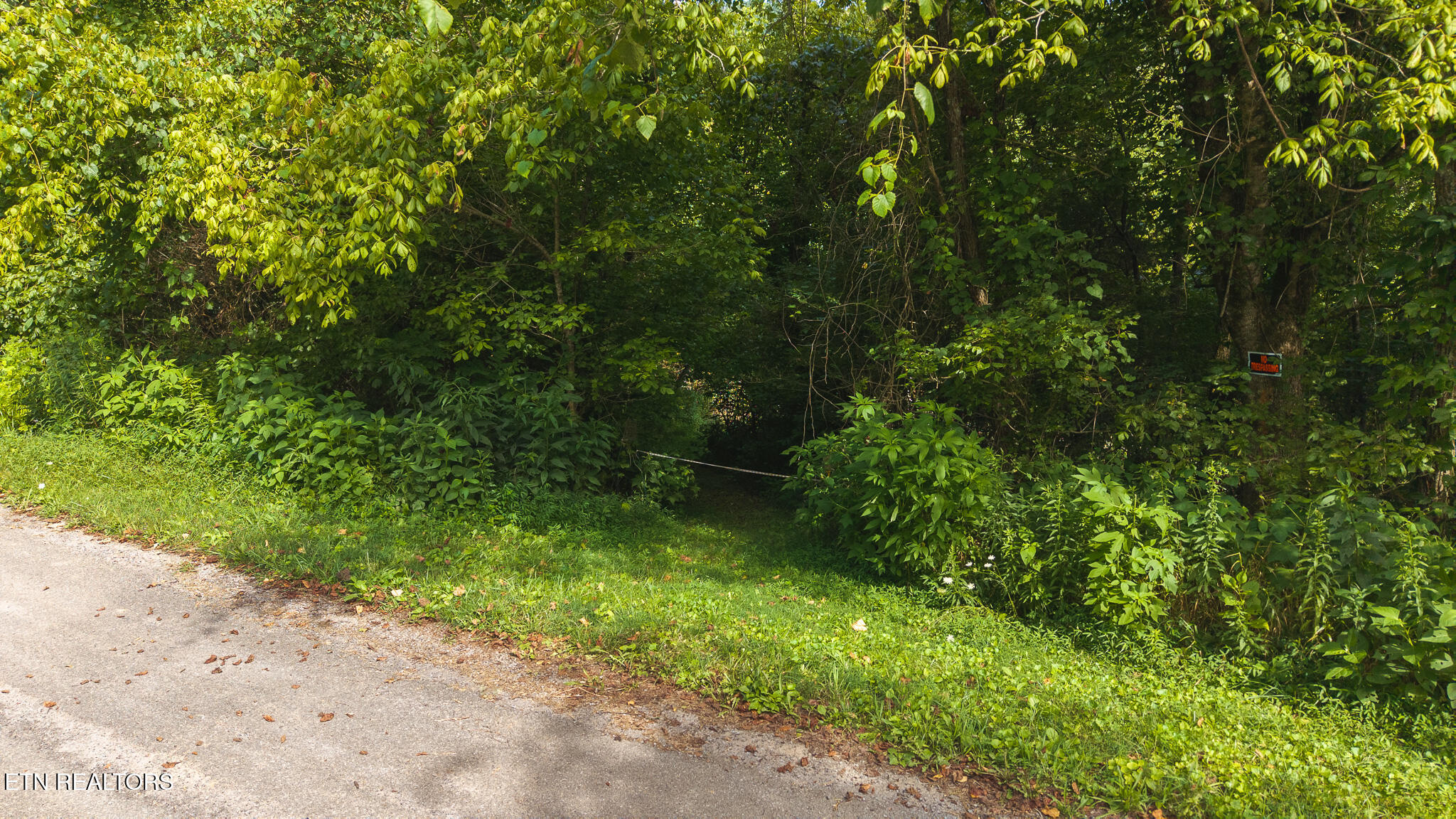 0 Gravely Valley Road Eidson, TN 37731 - Photo 36 of 36 DJI_20250716170629_0741_D