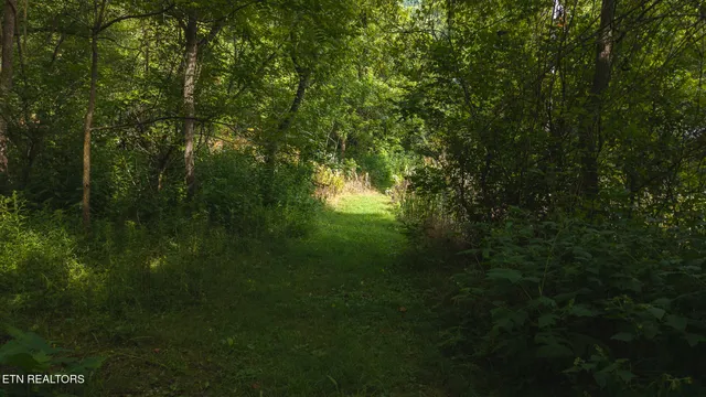 $99,900 | 0 Gravely Valley Road, Eidson, TN 37731