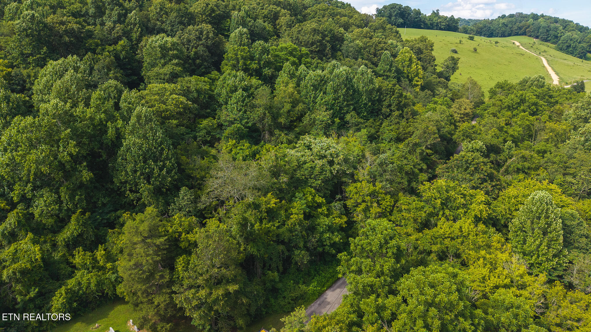 0 Gravely Valley Road Eidson, TN 37731 - Photo 6 of 36 DJI_20250716170839_0745_D