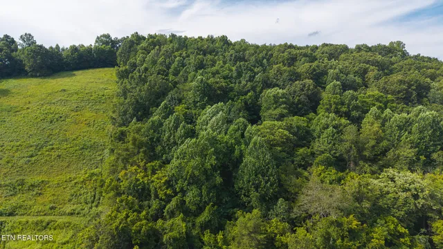 $99,900 | 0 Gravely Valley Road, Eidson, TN 37731