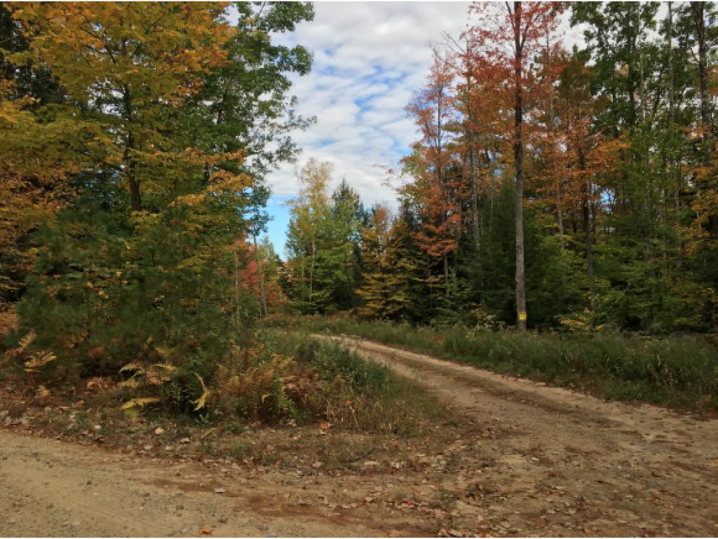 80 Hilliard Road Chichester, NH 03258 - Photo 2 of 9