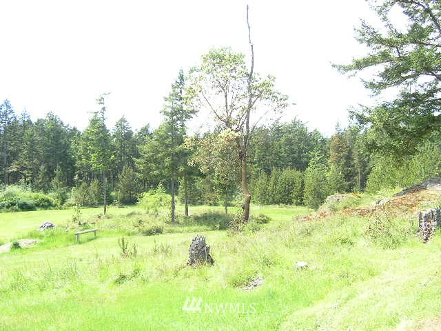1386 Elliott Road Lopez Island, WA 98261 - Photo 3 of 4