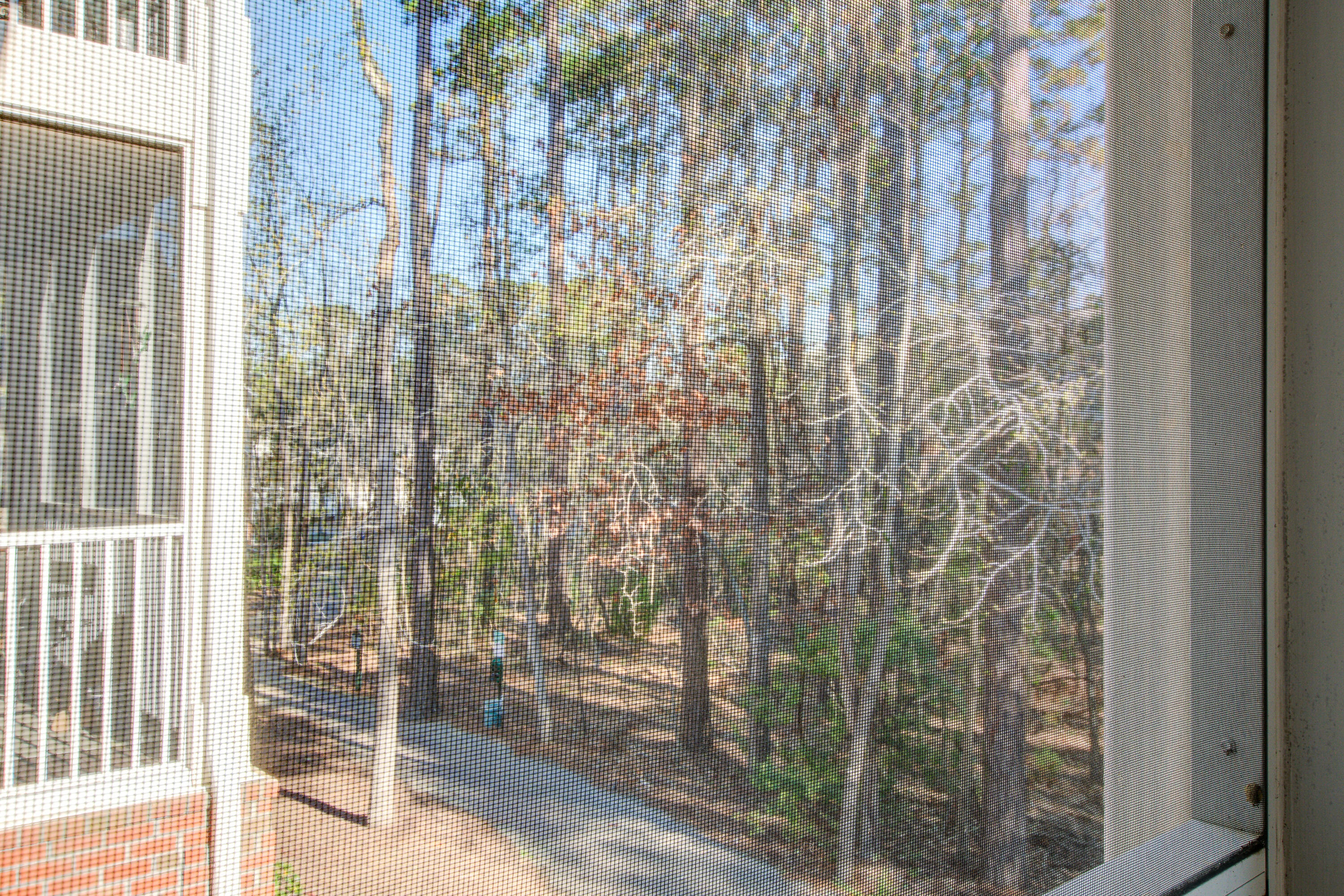 1413 Basildon Road Mount Pleasant, SC 29466 - Photo 23 of 37