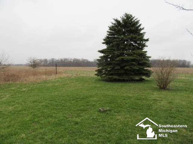 13300 Minx Road Ida, MI 48140 - Photo 10 of 10 21181118-9.JPG