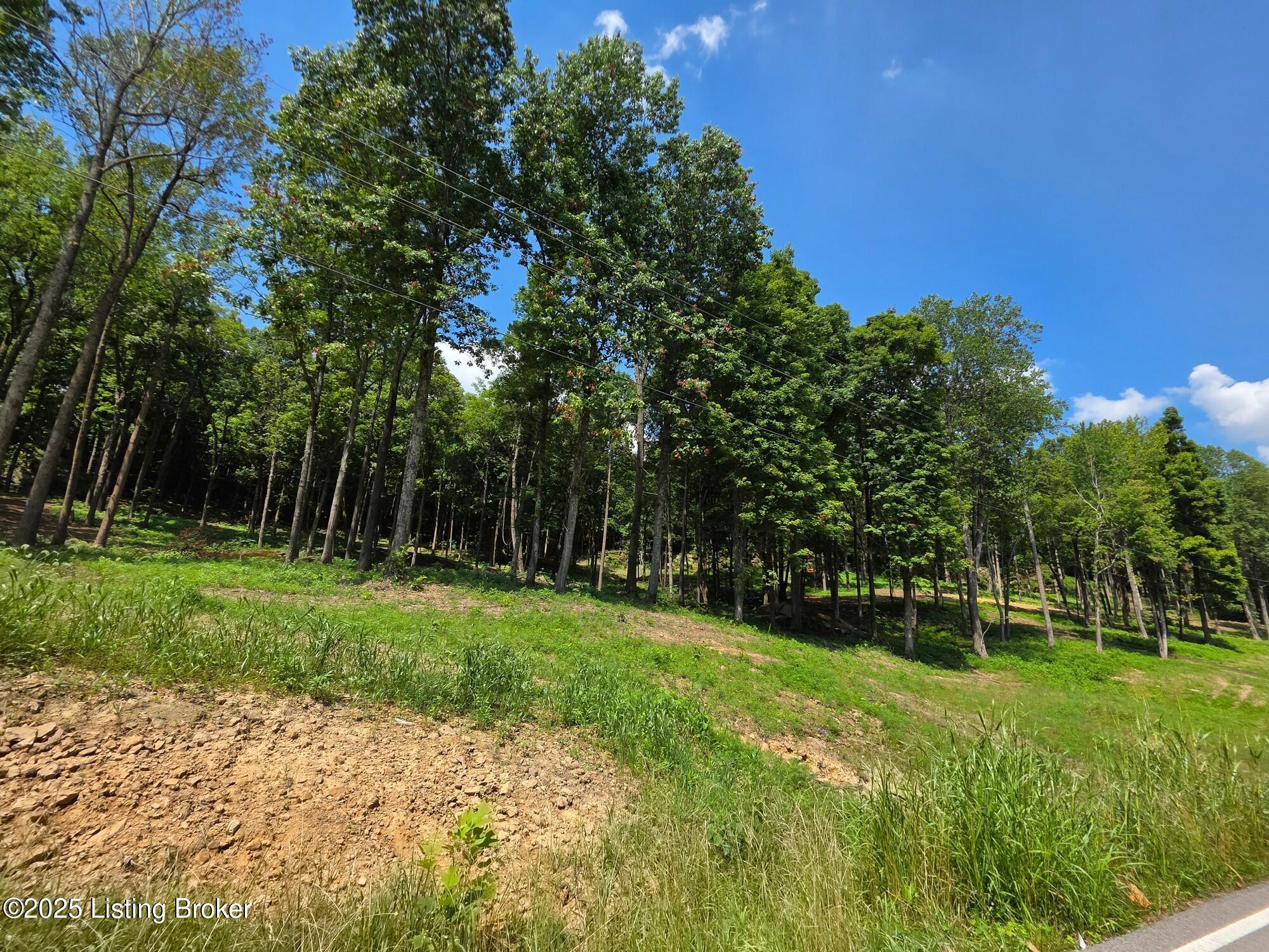 4 Cave Creek Road Falls Of Rough, KY 40119 - Photo 2 of 12 Lot 4 The Cliffs at Cave Creek