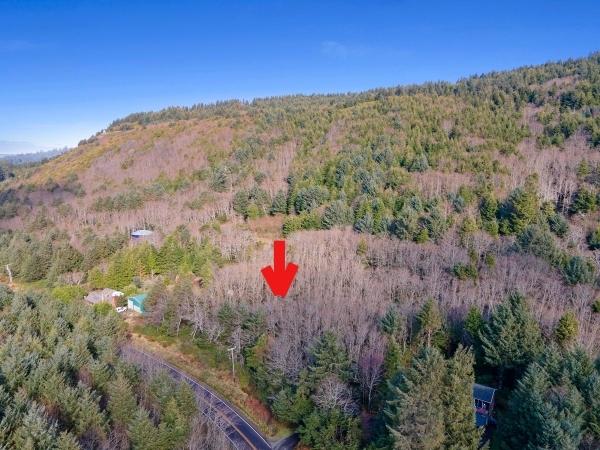 V/l Cape Meares Loop Tillamook, OR 97141 - Photo 3 of 11 oceanside_7_indicator