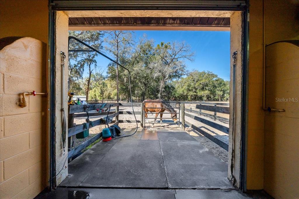 3551 East Highway 329 Anthony, FL 32617 - Photo 62 of 86