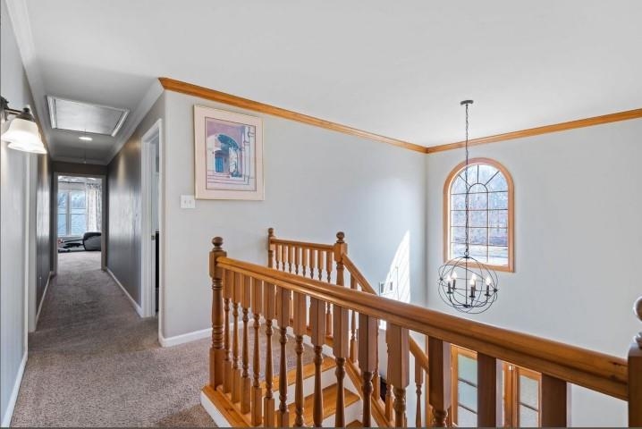1385 Winoka Road Collierville, TN 38017 - Photo 12 of 16 a view of a hallway with windows