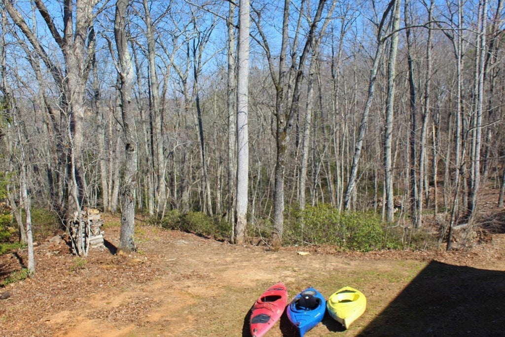 2105 Banton Shop Road Dillwyn, VA 23936 - Photo 28 of 39 Gallery Image 28