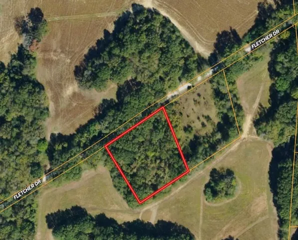 an aerial view of a yard