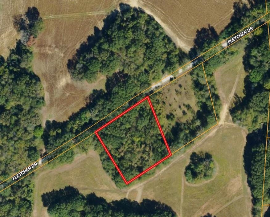 an aerial view of a yard