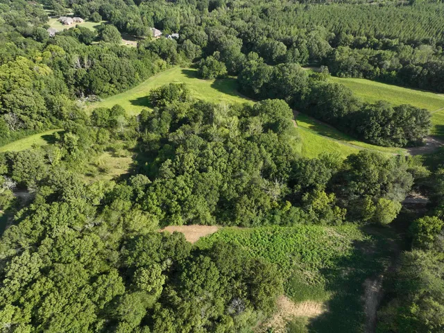 a view of a forest with a street