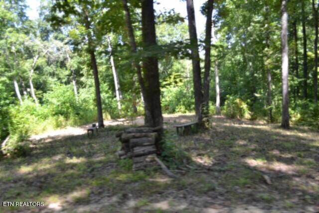 9.85-ac Rock Springs Road Celina, TN 38551 - Photo 22 of 48 DSC_0065