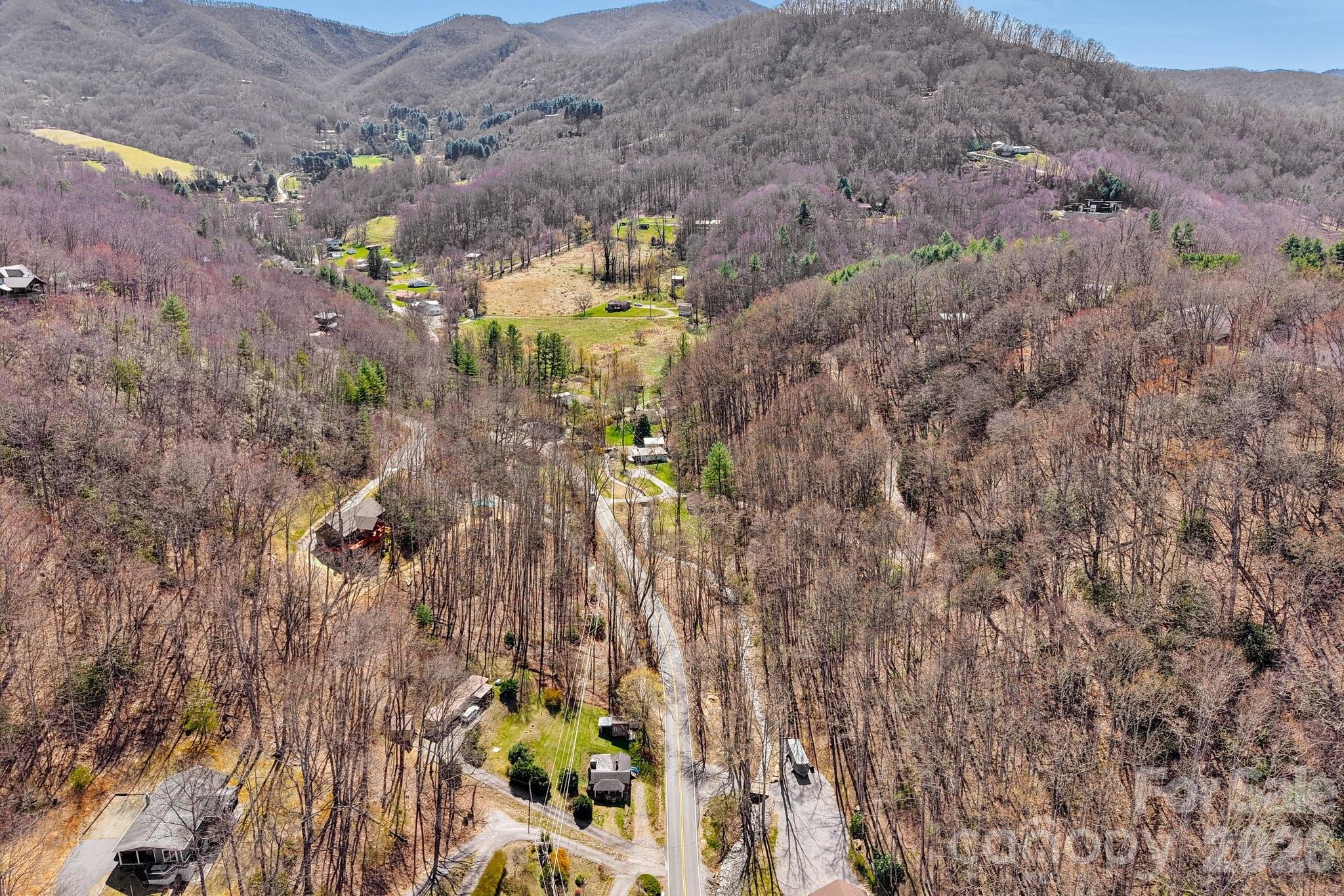 719 Camp Branch Road Waynesville, NC 28786 - Photo 19 of 22 a view of a yard
