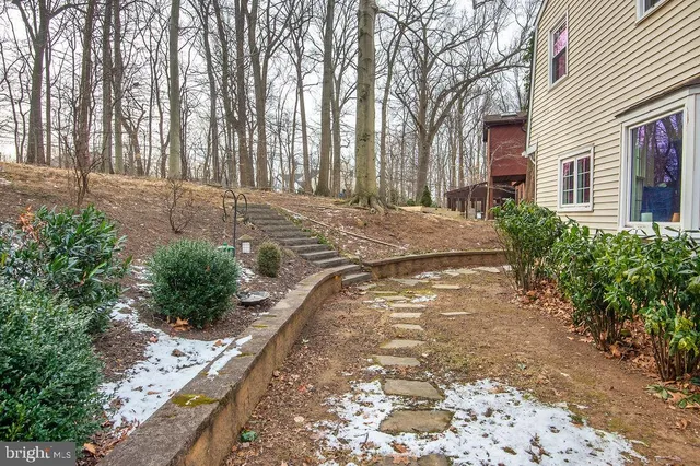 a view of a yard with plants and trees