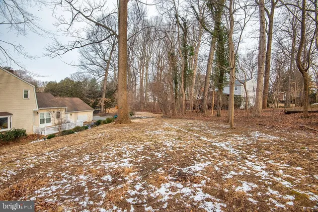 a backyard of a house with large trees