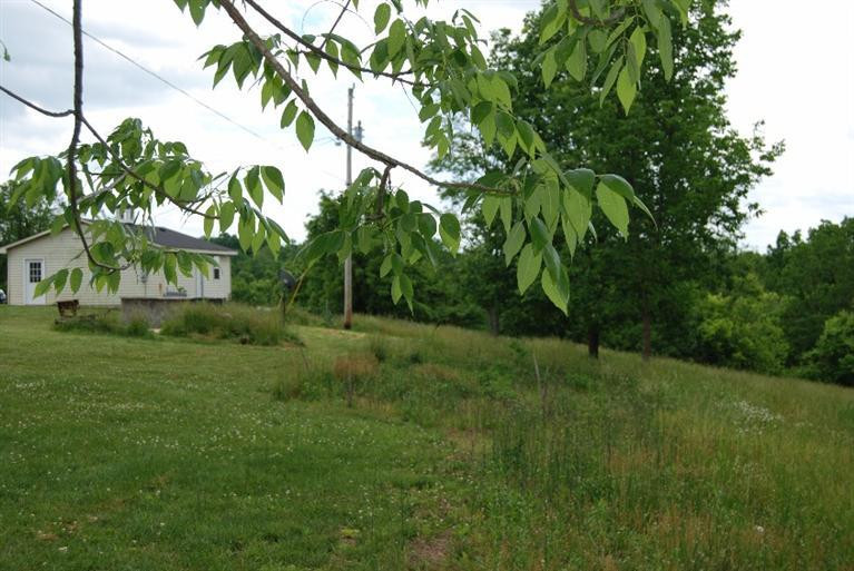 315 Wells Road Mount Sterling, KY 40353 - Photo 10 of 59 Photo 10