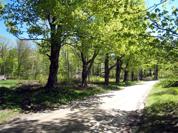 Lot 1 Bug Hill Road Ashfield, MA 01330 - Photo 1 of 6