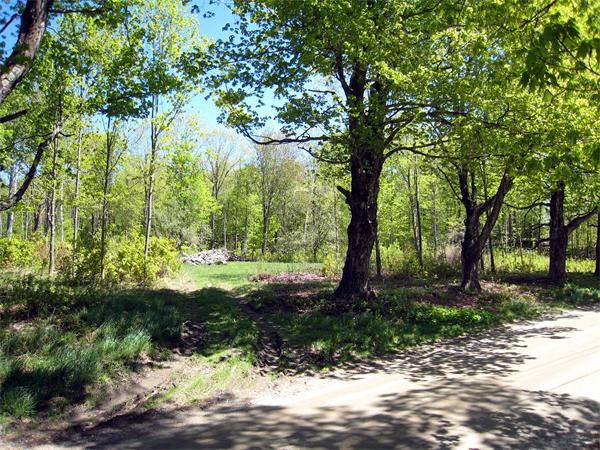 Lot 1 Bug Hill Road Ashfield, MA 01330 - Photo 2 of 6