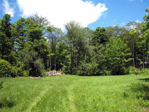 Lot 1 Bug Hill Road Ashfield, MA 01330 - Photo 3 of 6