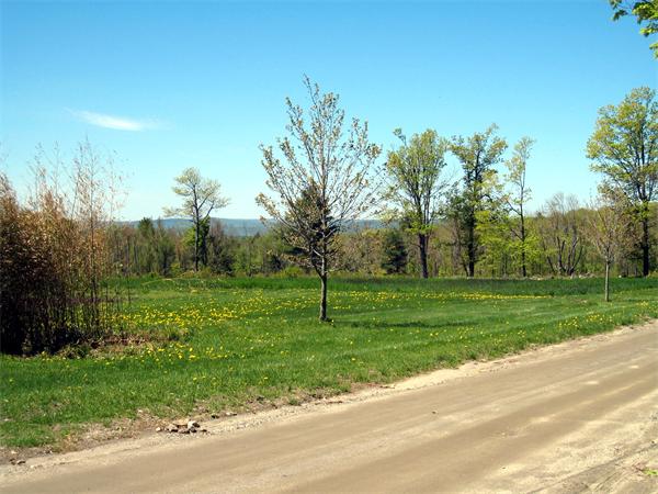 Lot 1 Bug Hill Road Ashfield, MA 01330 - Photo 6 of 6