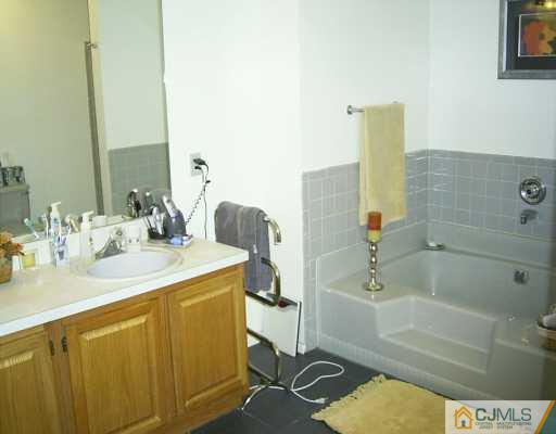 151 Salem Road North Brunswick, NJ 08902 - Photo 7 of 8 a bathroom with a sink and a mirror