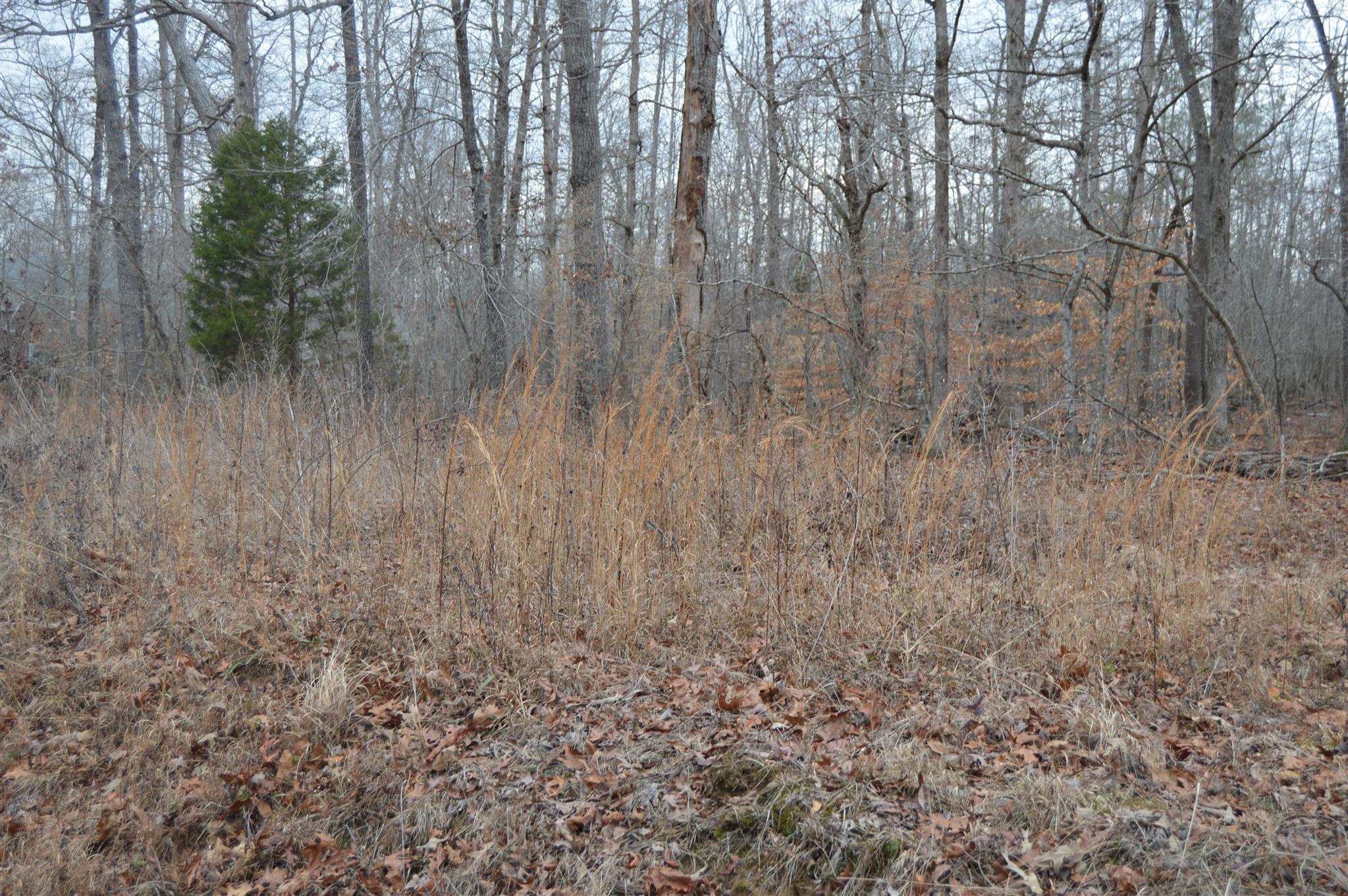 0 Sears Roebuck Road Tullahoma, TN 37388 - Photo 1 of 2 Gallery Image 1