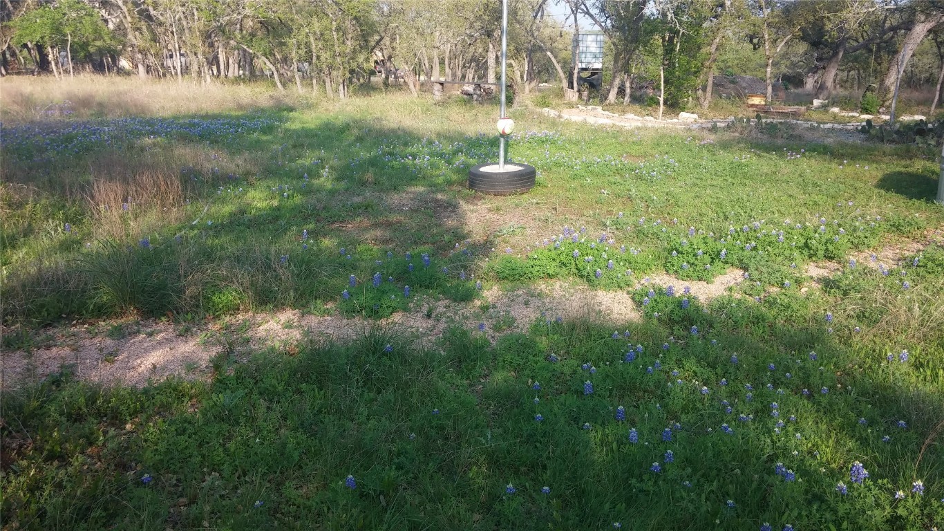 385 Country Lane Dripping Springs, TX 78620 - Photo 20 of 28 a view of yard with green space