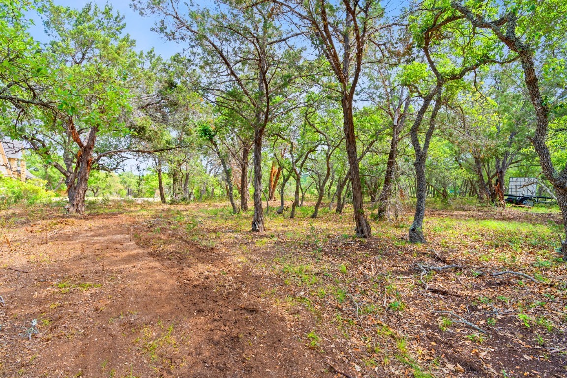 385 Country Lane Dripping Springs, TX 78620 - Photo 23 of 27 a view of a yard with tree s