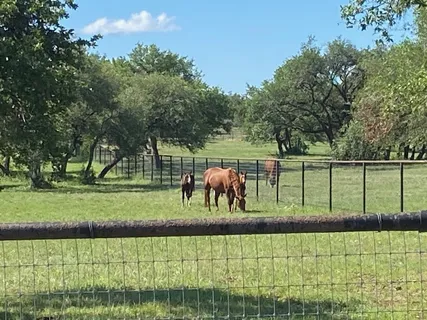 a view of a back yard