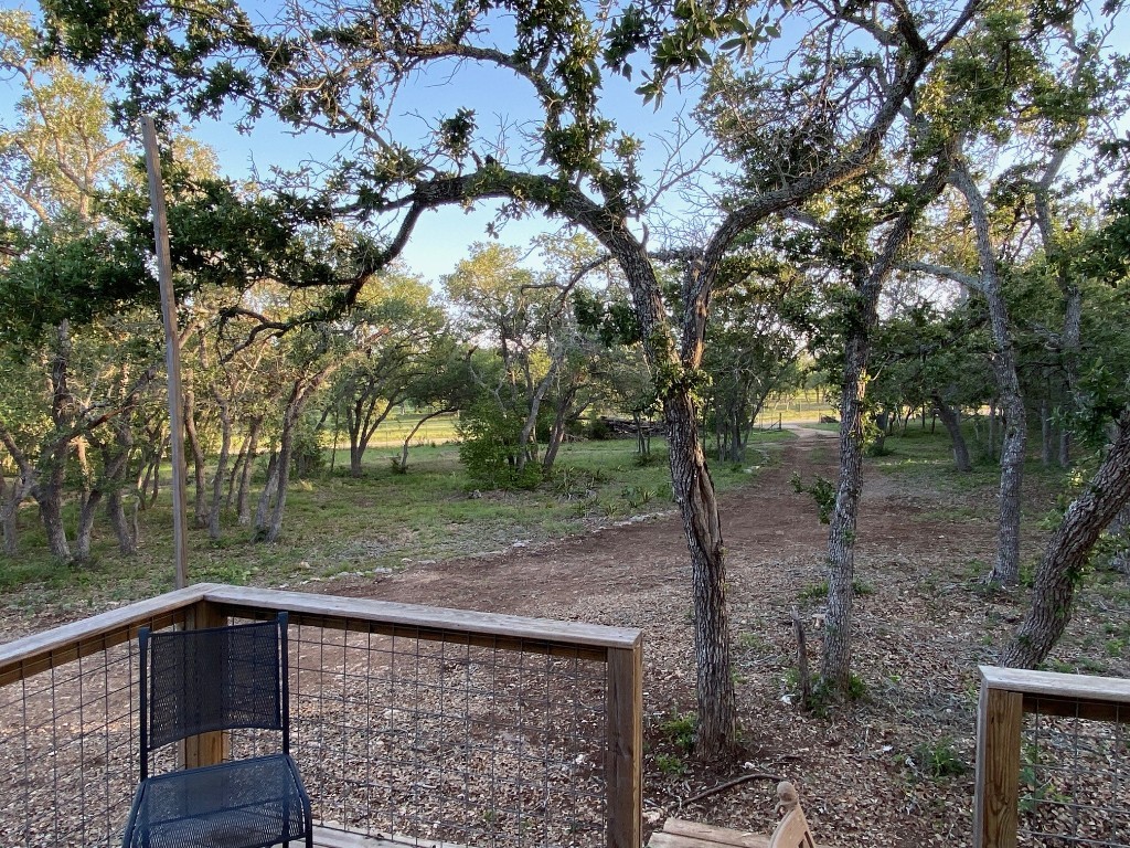 385 Country Lane Dripping Springs, TX 78620 - Photo 10 of 27 a backyard of a house with lots of green space