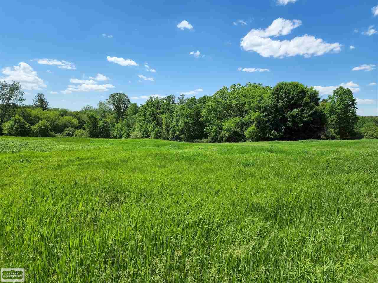 0 Brewer Road Leonard, MI 48367 - Photo 1 of 7