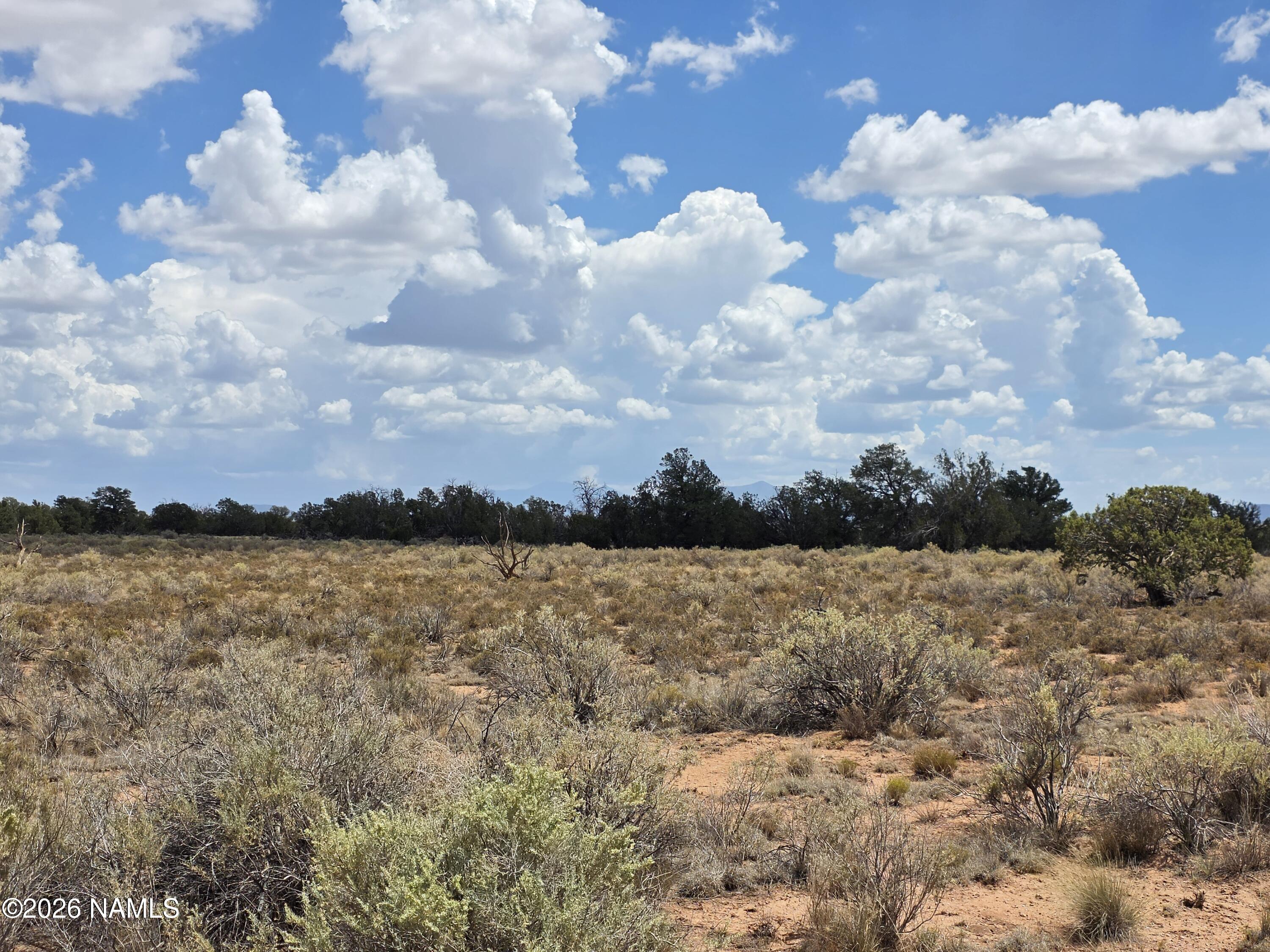 955 San Mateo Road Williams, AZ 86046 - Photo 2 of 24 1000068188