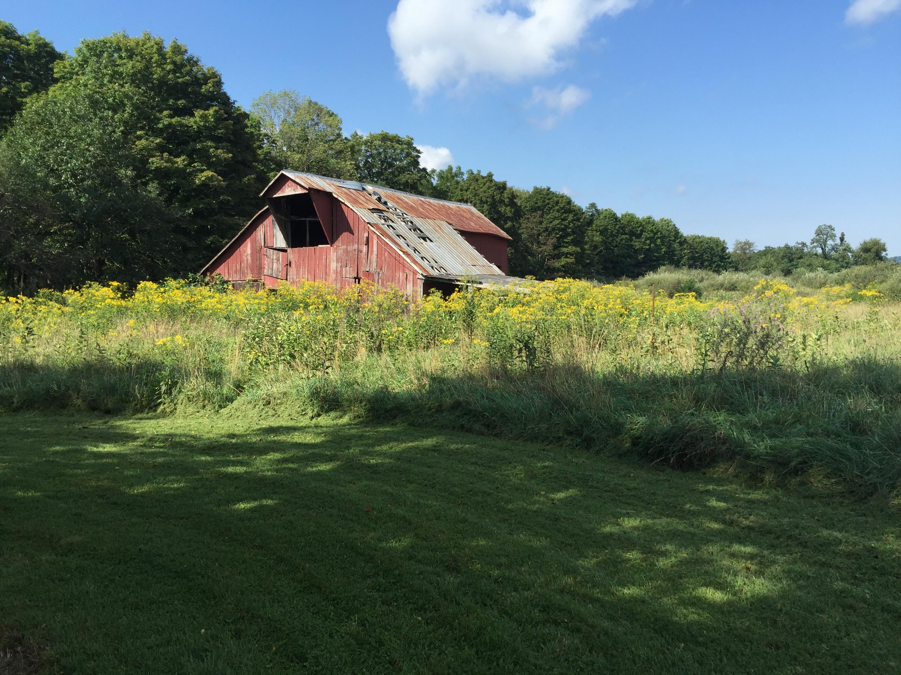 Zenith Road Fincastle, VA 24090 - Photo 16 of 20 Gallery Image 16
