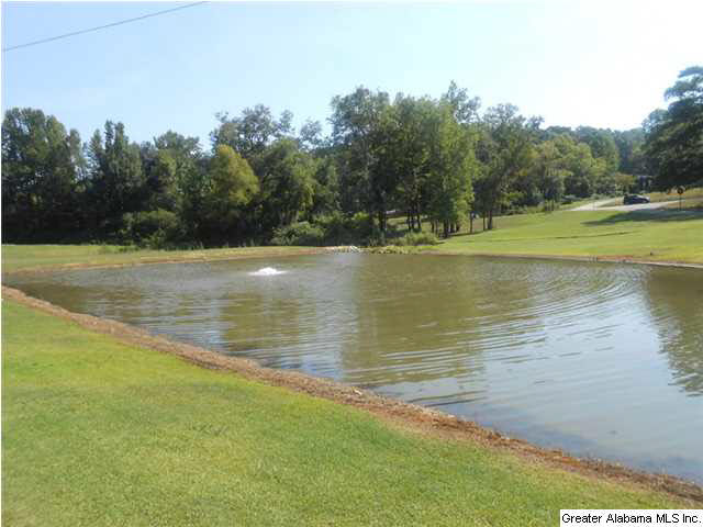 39 Price Lane Oneonta, AL 35121 - Photo 23 of 26