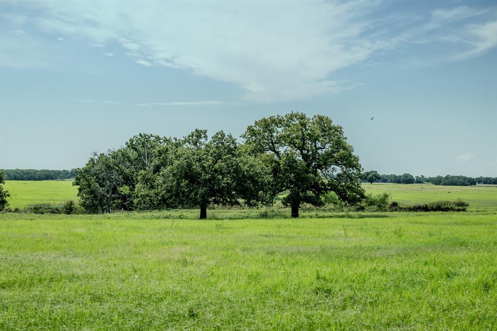 1 West Pleasant Valley Road Bellevue, TX 76228 - Photo 22 of 40