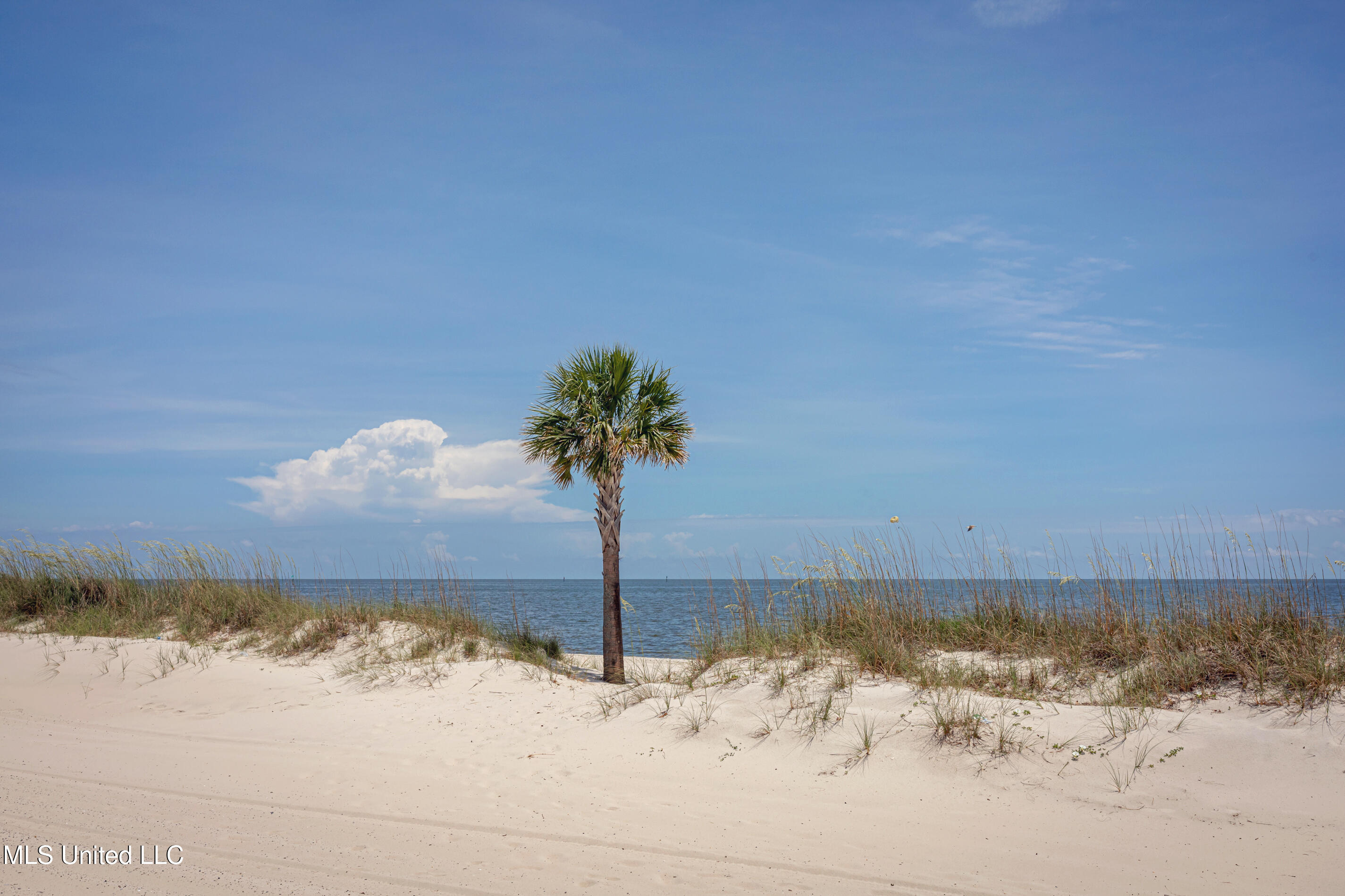 1282 Beach Boulevard, Unit 207 Biloxi, MS 39530 - Photo 33 of 33 IMG_8563