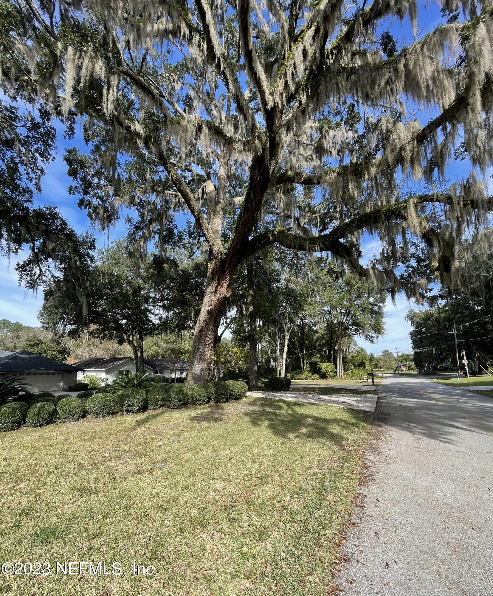 439 Southeast 28th Way Melrose, FL 32666 - Photo 7 of 55 IMG_6889